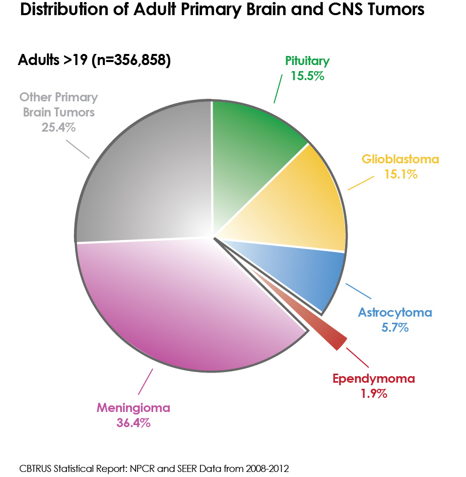 Adult Brain Tumors 115