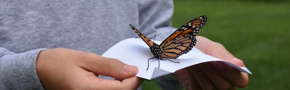 Ependymoma Awareness Day 2025